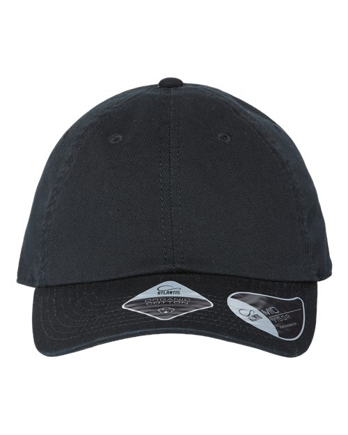 Sustainable Dad Hat - - 11364 - Toronto Screen Printing- Color