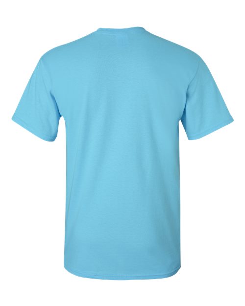 Gildan 2000, Unisex Ultra Cotton T-shirt, Sky