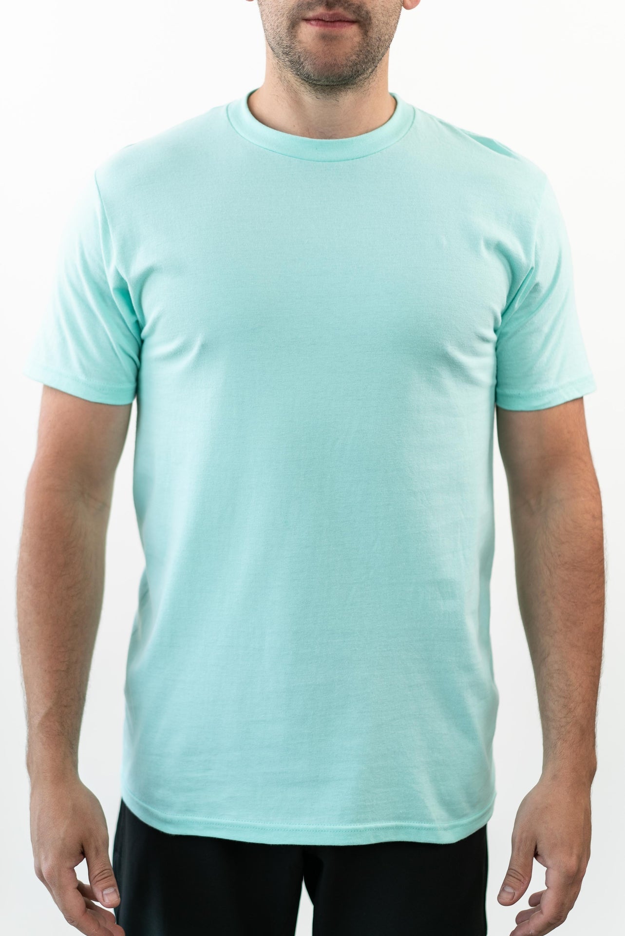 47151 - Men Premium Tees Mint Chip 47151 CLOSEOUT COTTON FITTED Lightweight MEN mens ON SALE OPTIMA Premium REGULAR tearaway TEES