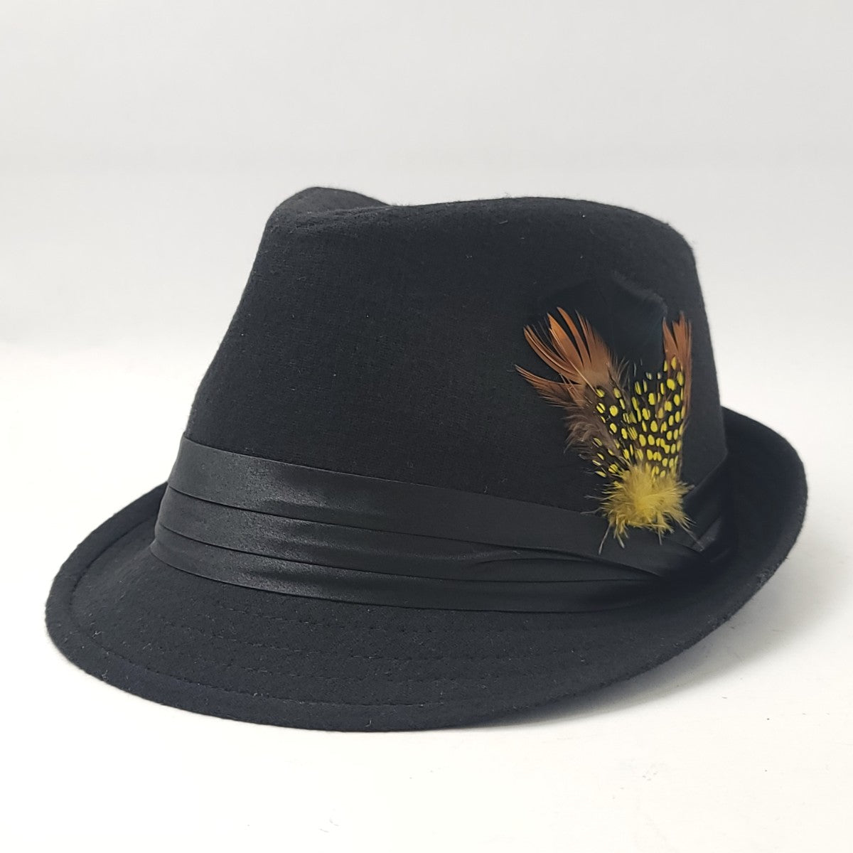 Fedora Hat - Wool Blended with Feather, Multi-Coloured, S/M & L/XL Black Fashion Hat