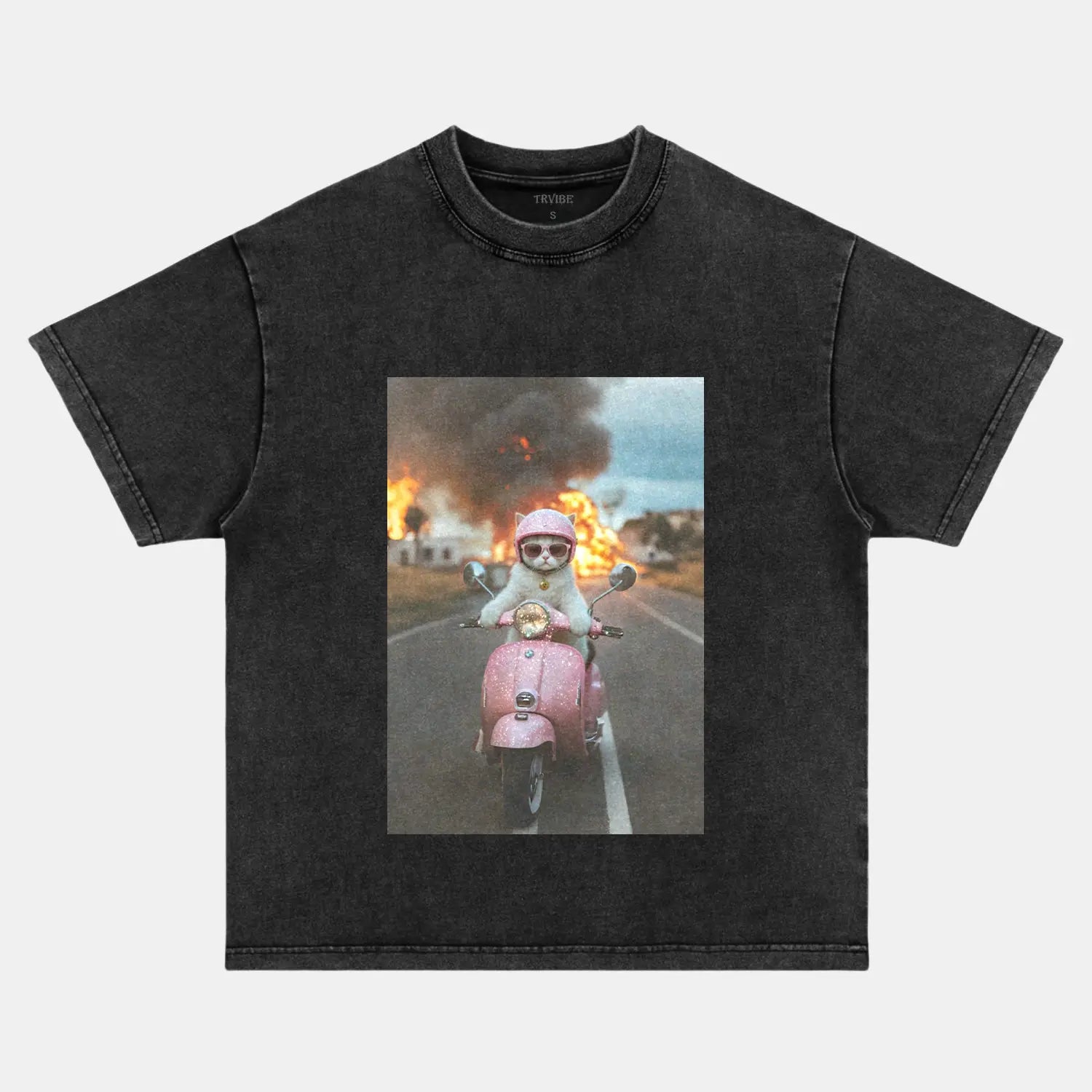 RUIN CAT T-SHIRT FUNNY HUMOR