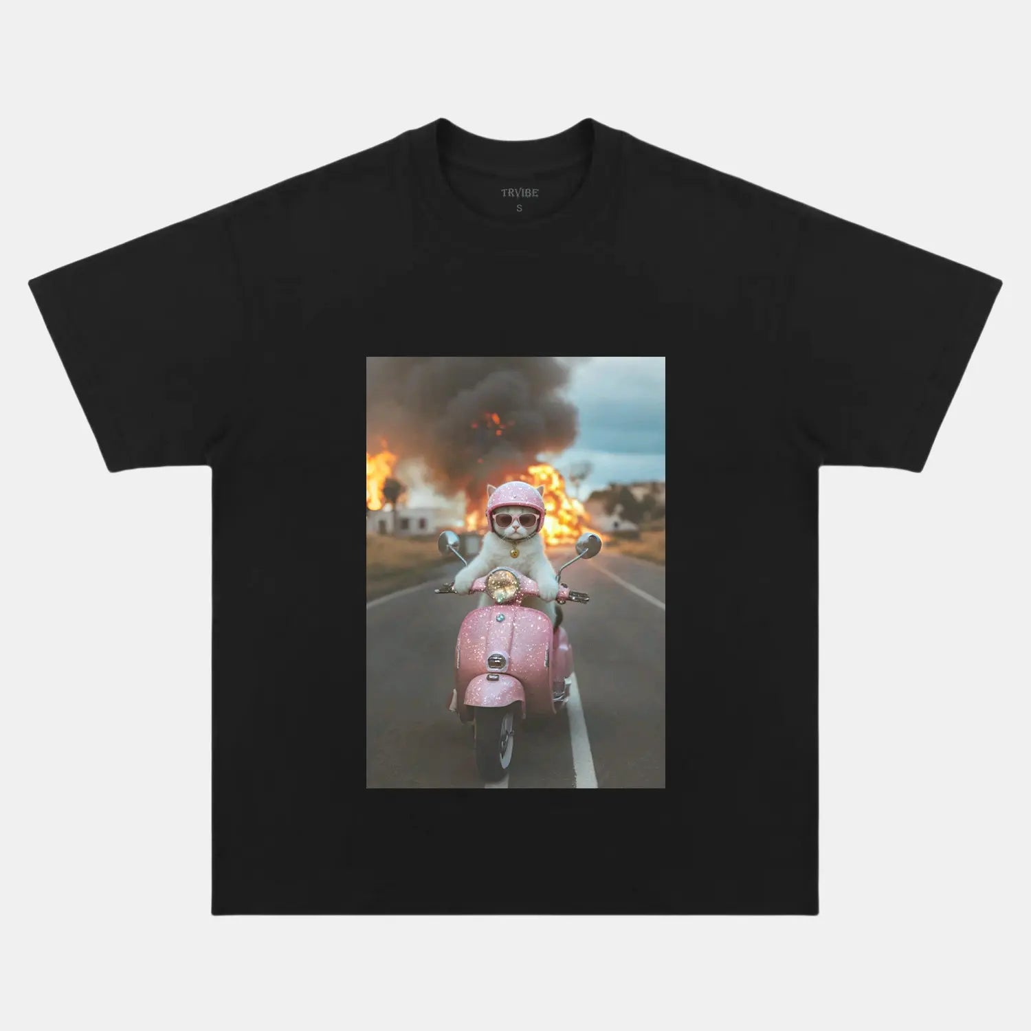 RUIN CAT T-SHIRT FUNNY HUMOR