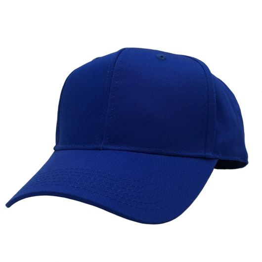 GN-1050 - Pro Style Cap Royal One Size 1050 6 PANELS casquette COTTON / POLYESTER CURVE hat hats headwear HIGH PROFILE NISSI nissi caps SNAPBACK STRUCTURED UNISEX