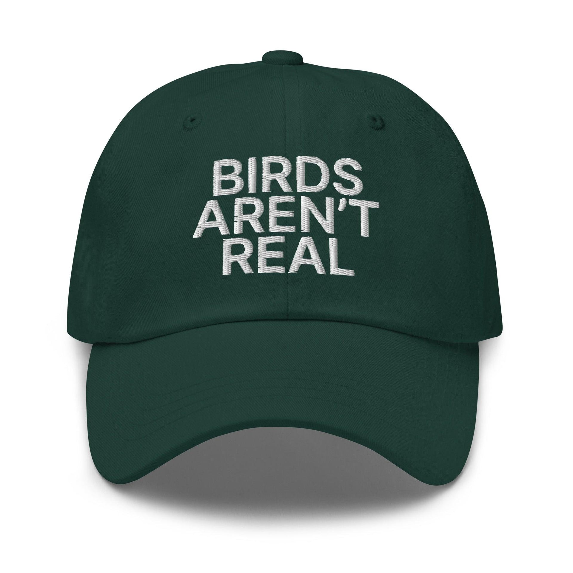 Birds Aren't Real Embroidered Dad Hat Spruce Capital Crowns Dad Hats Funny