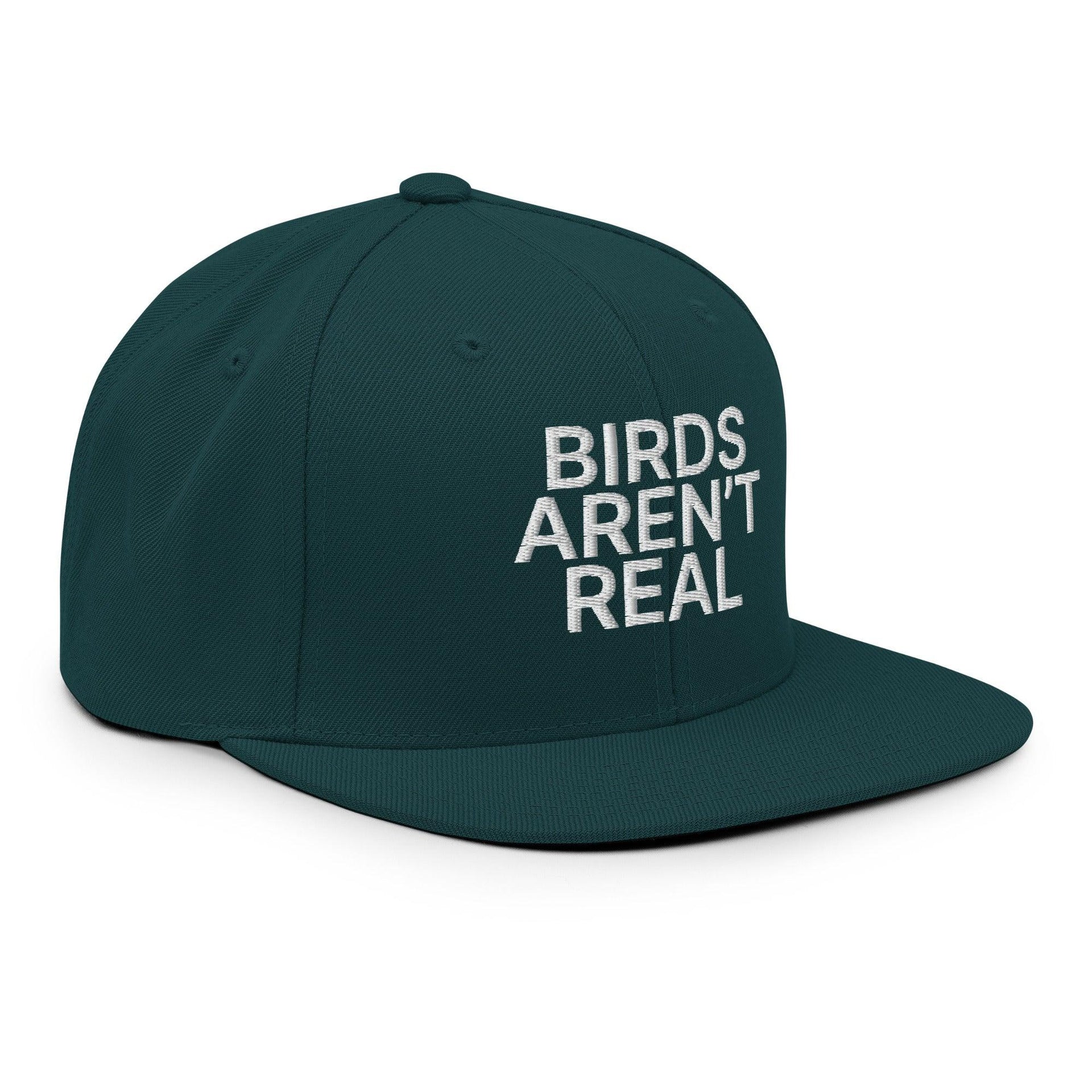Birds Aren't Real Embroidered Flat Bill Brim Snapback Hat Capital Crowns Funny Snapback Hats