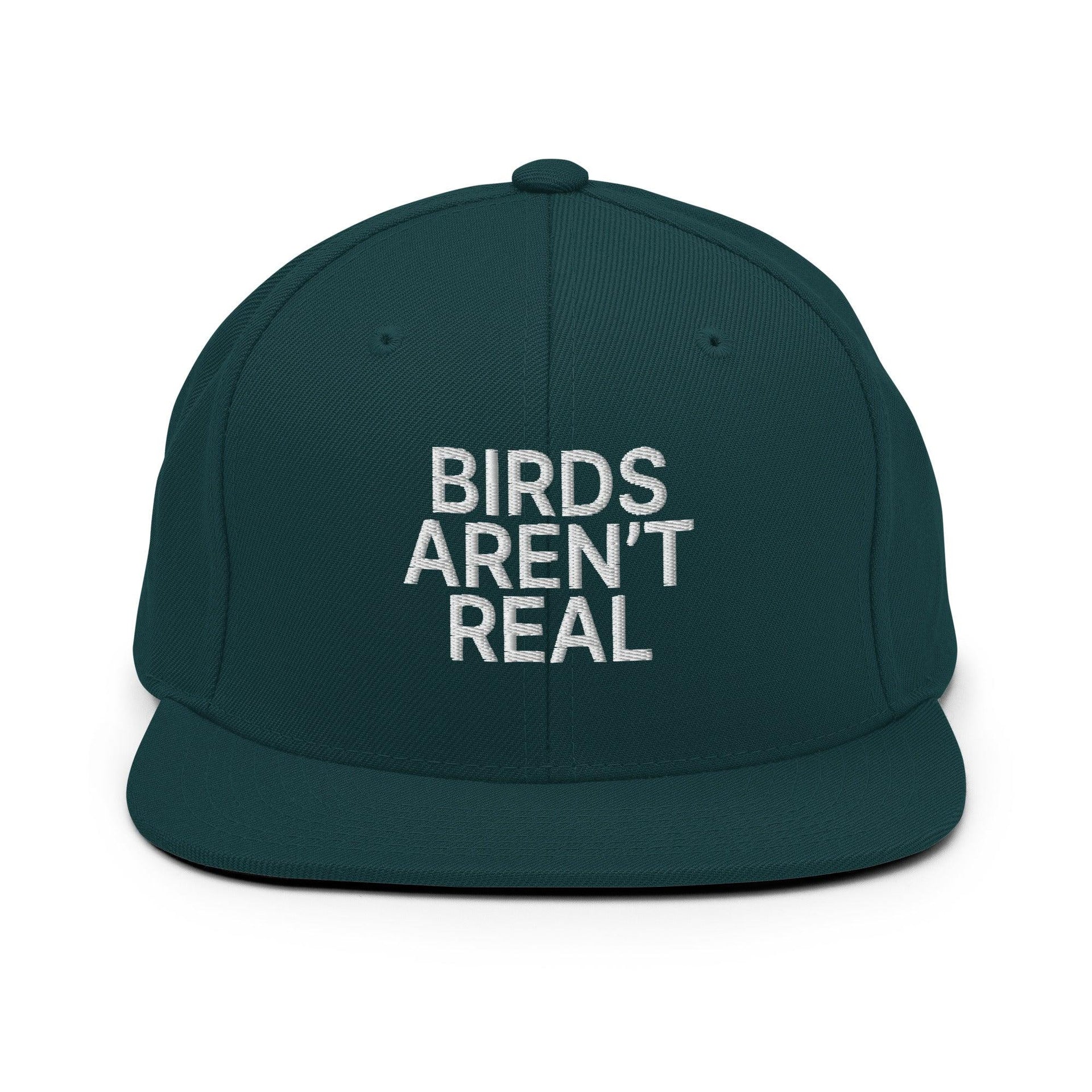 Birds Aren't Real Embroidered Flat Bill Brim Snapback Hat Spruce Capital Crowns Funny Snapback Hats