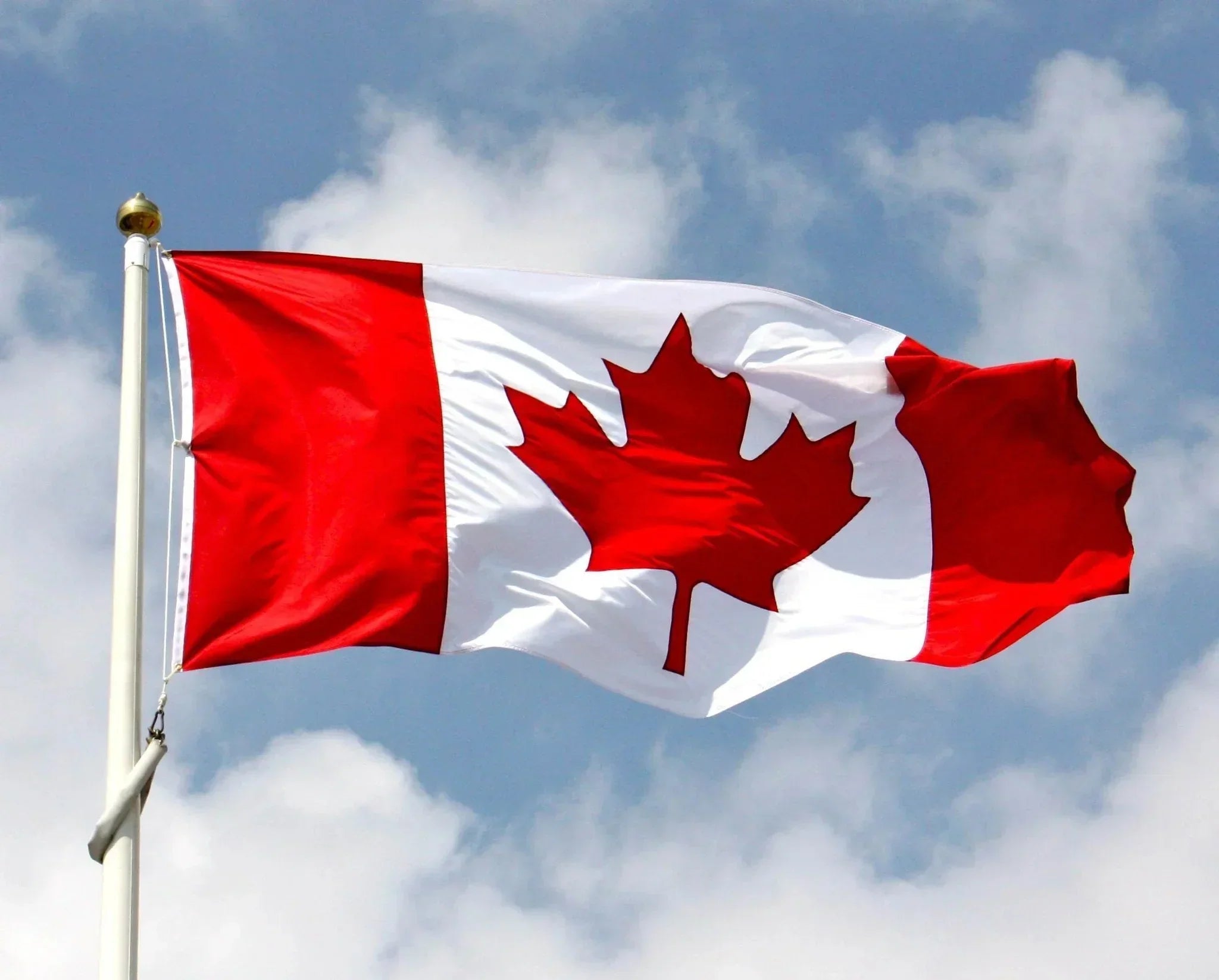 Canadian Flag – Various Sizes 🇨🇦 Flags made in canada Single Unit TSP Flags