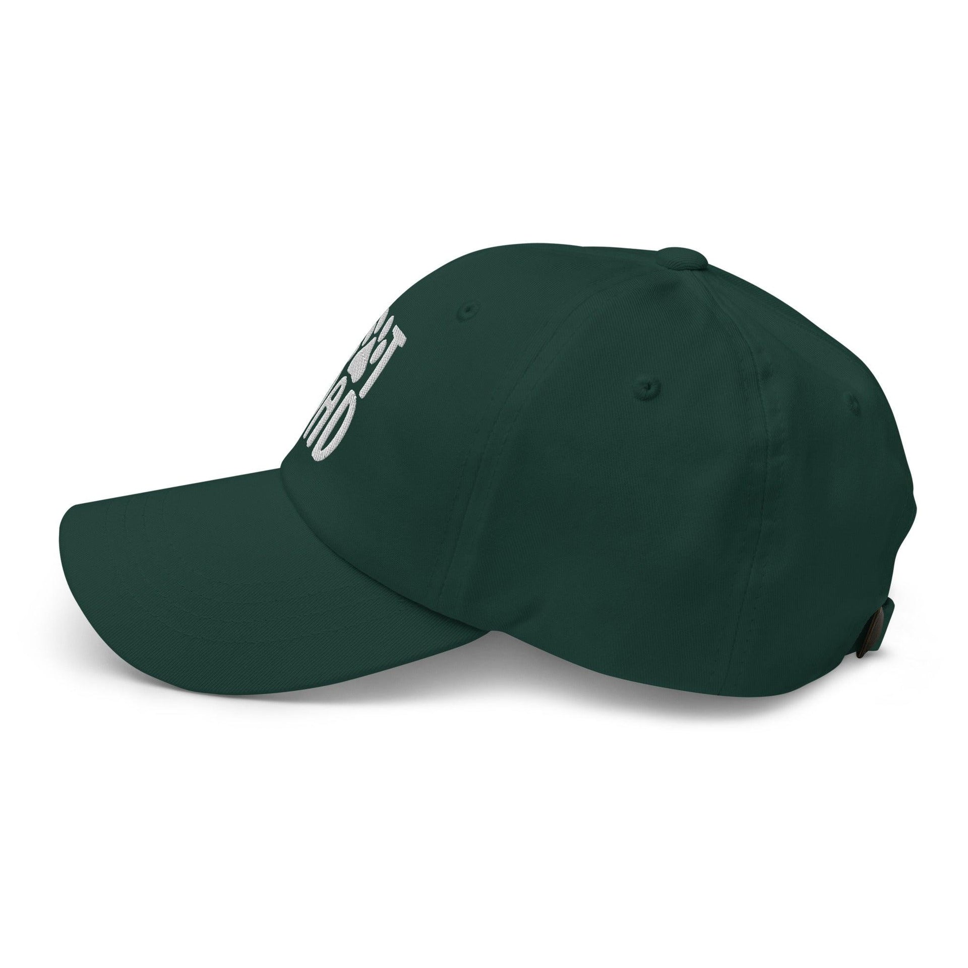 Cat Dad Embroidered Dad Hat Capital Crowns Dad Hats Funny
