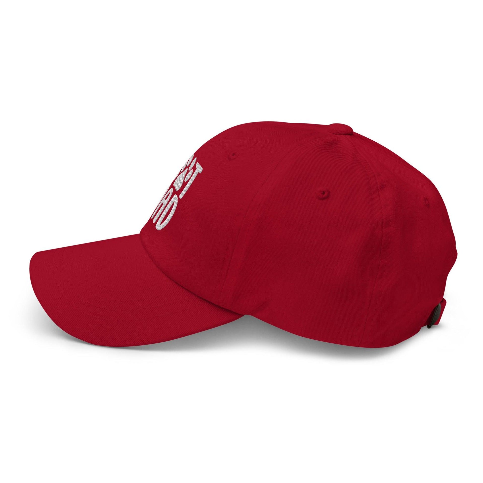 Cat Dad Embroidered Dad Hat Capital Crowns Dad Hats Funny