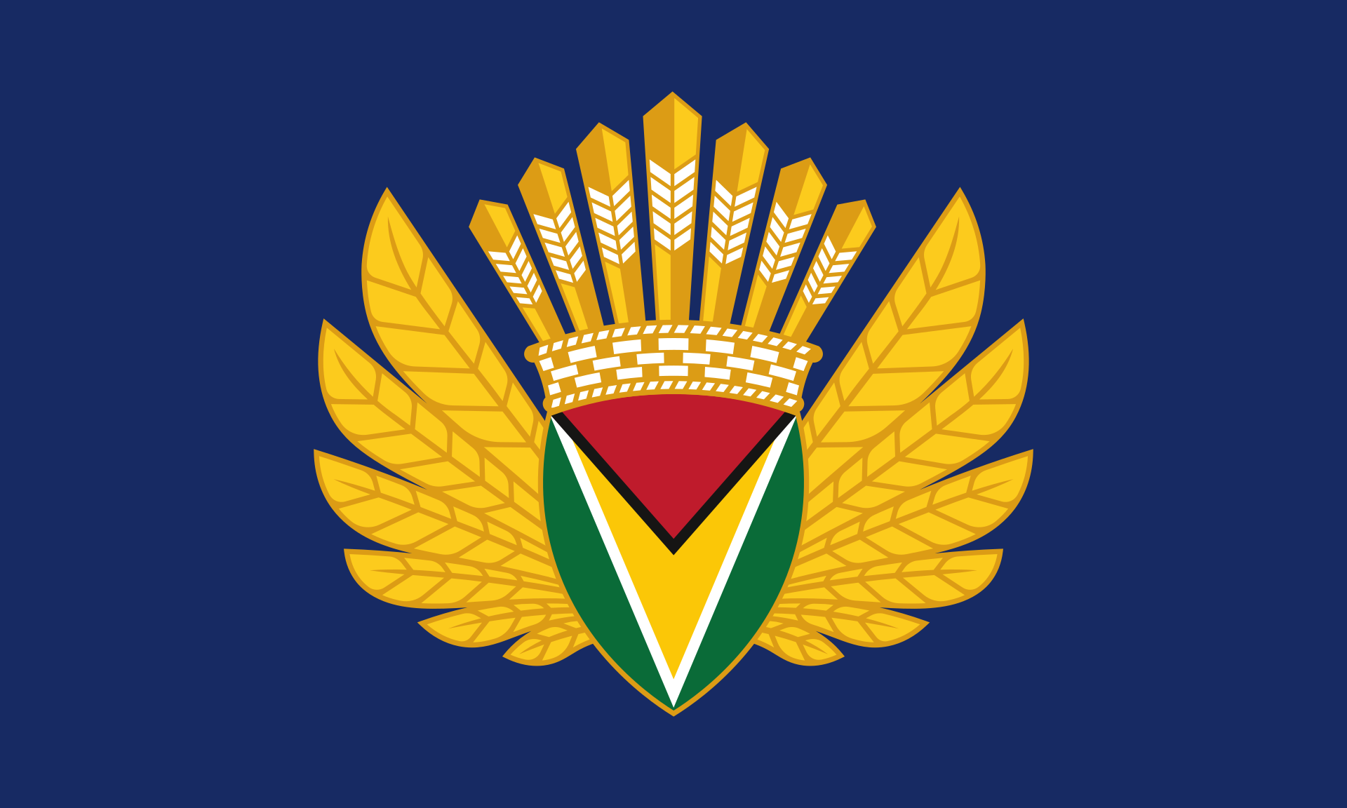 Flag of Guyana - Presidential Standard (2020–Present) Flags made in canada south america TSP Flags