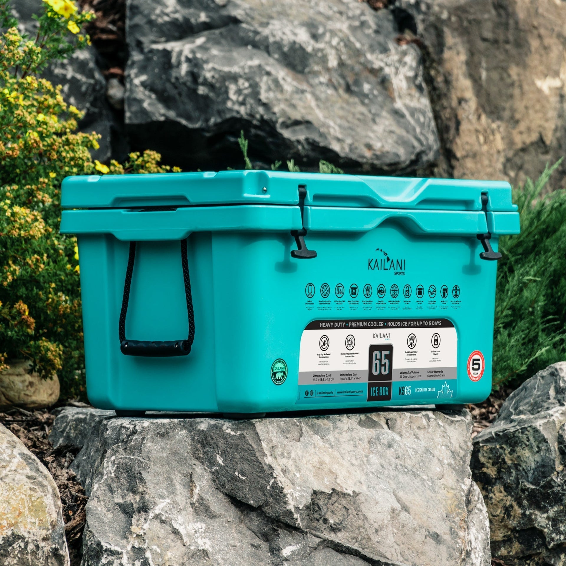 KS65 Cooler 116 Cans Holds 65 Cans KAILANI