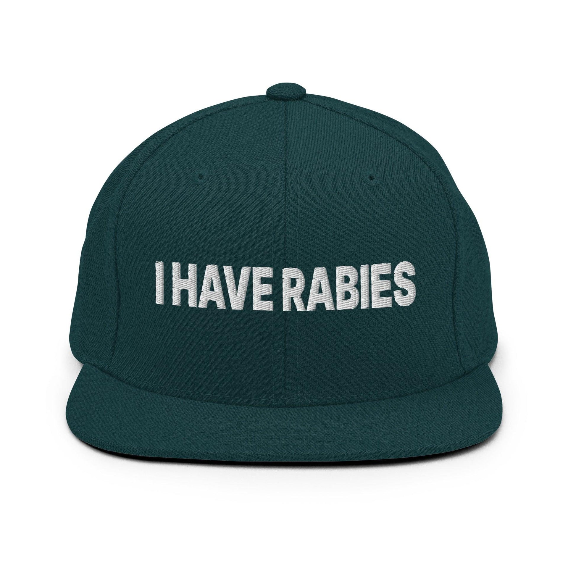 I Have Rabies Embroidered Flat Bill Brim Snapback Hat Spruce Capital Crowns Funny Snapback Hats