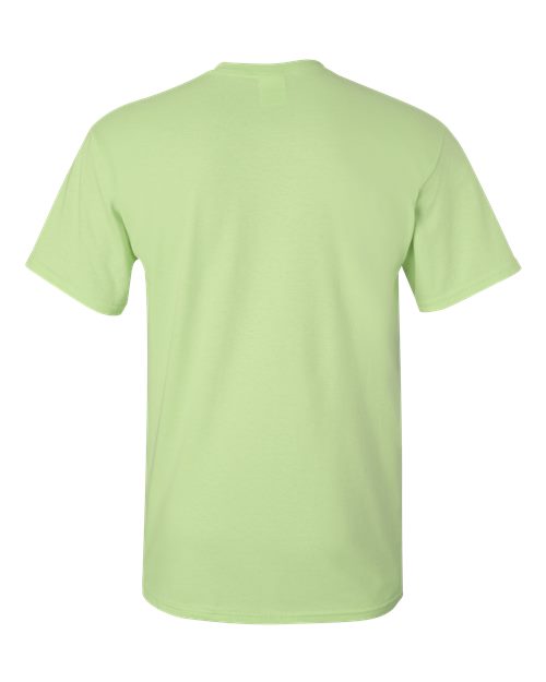 Gildan 2000, Unisex Ultra Cotton T-shirt, Pistachio