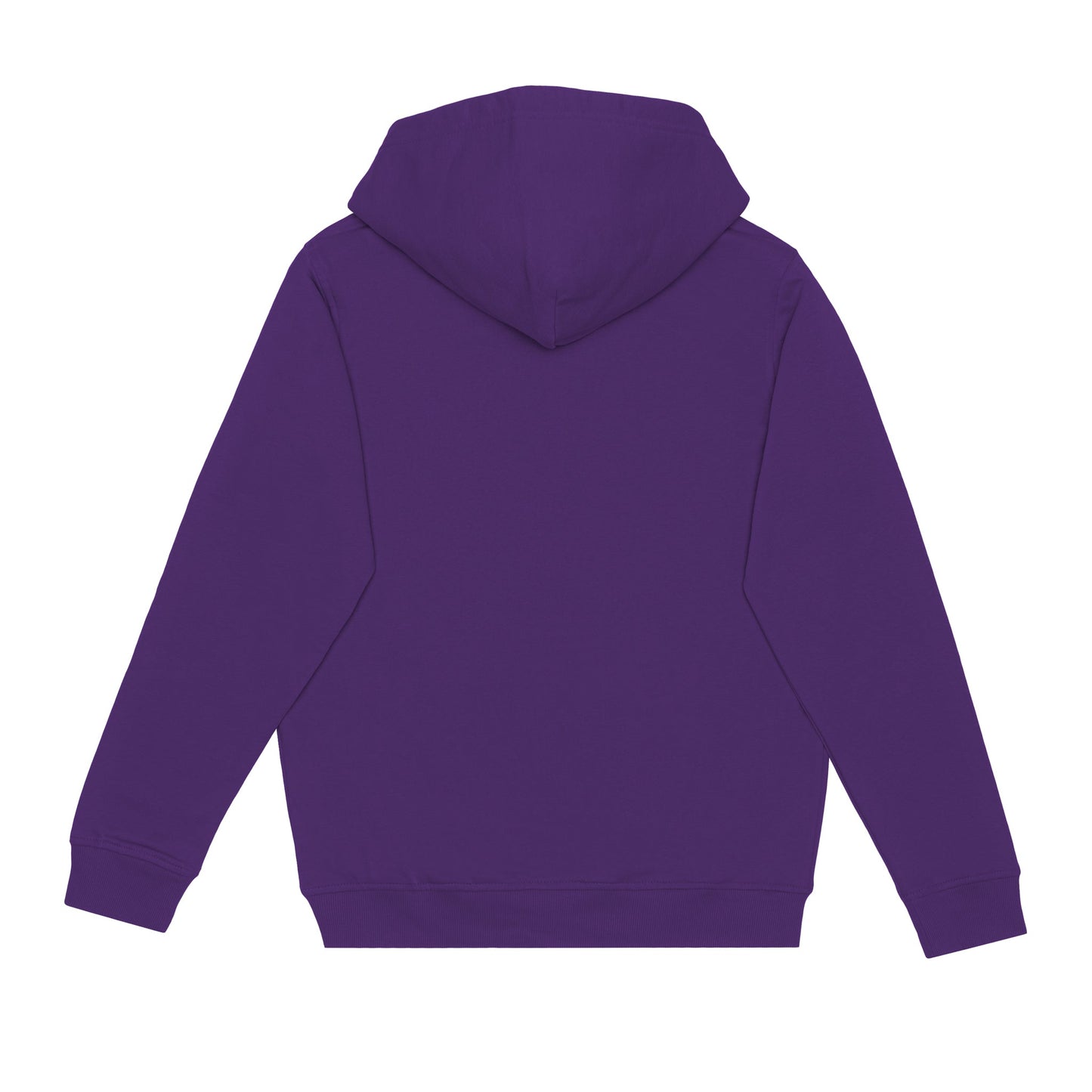 HERO-2020 Unisex Blank Hoodie - Purple