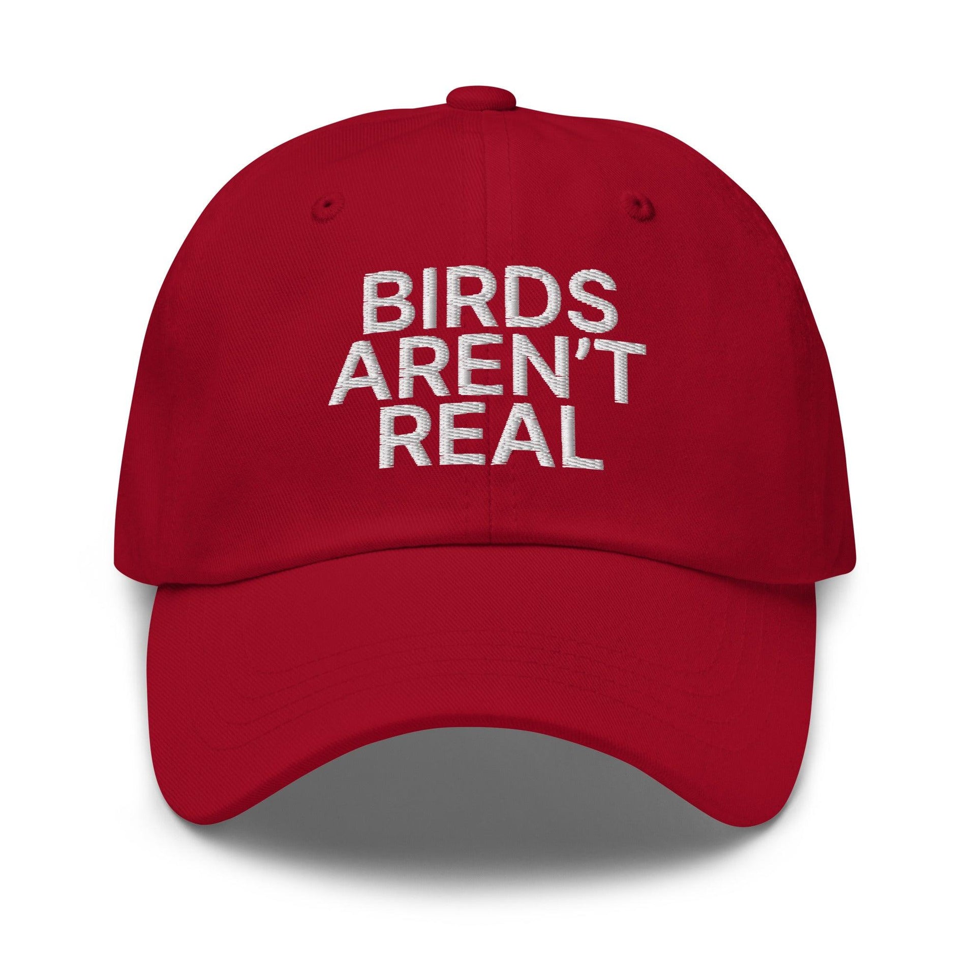 Birds Aren't Real Embroidered Dad Hat Cranberry Capital Crowns Dad Hats Funny