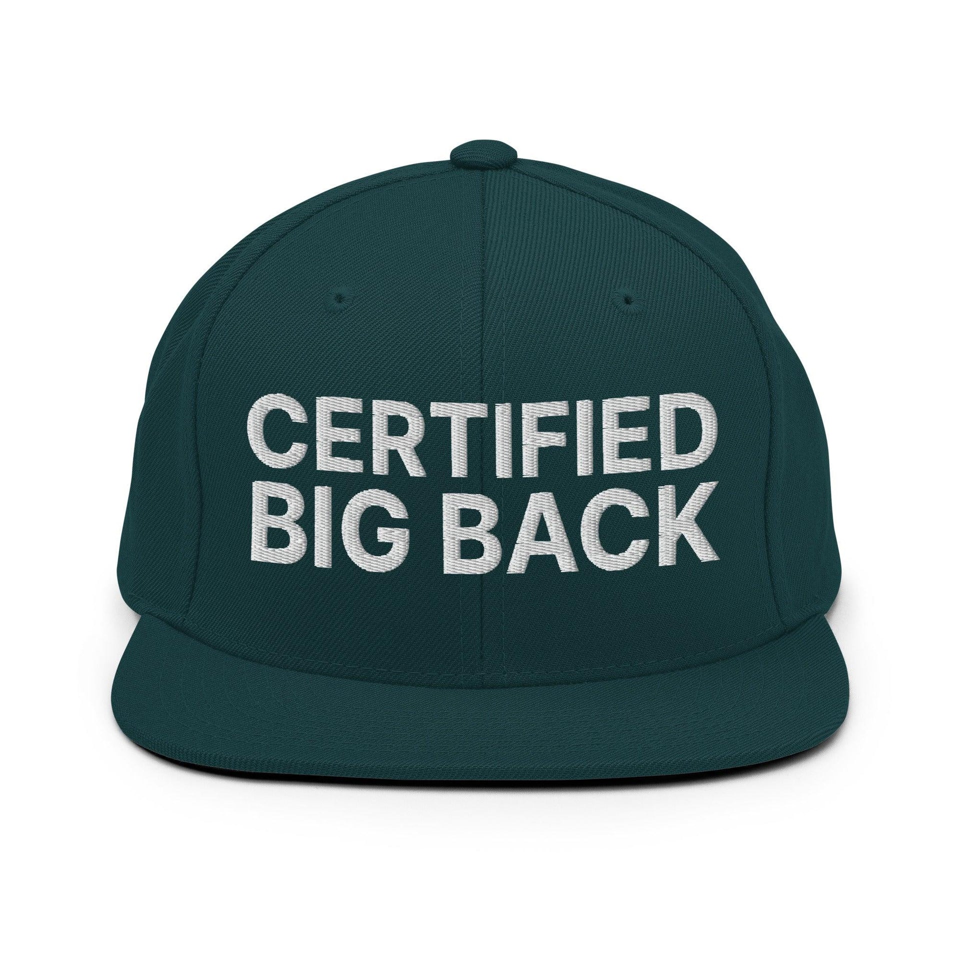Certified Big Back Embroidered Flat Bill Brim Snapback Hat Spruce Capital Crowns Funny Snapback Hats