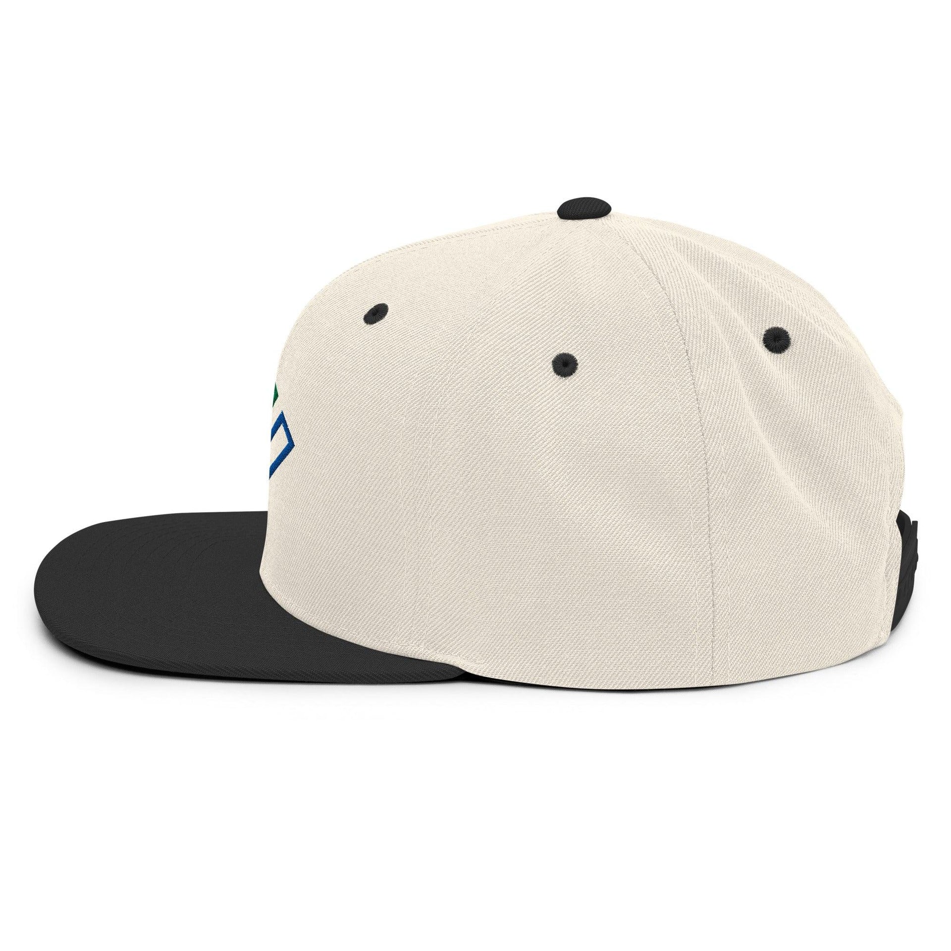 Enron Embroidered Flat Bill Brim Snapback Hat Capital Crowns Funny Snapback Hats