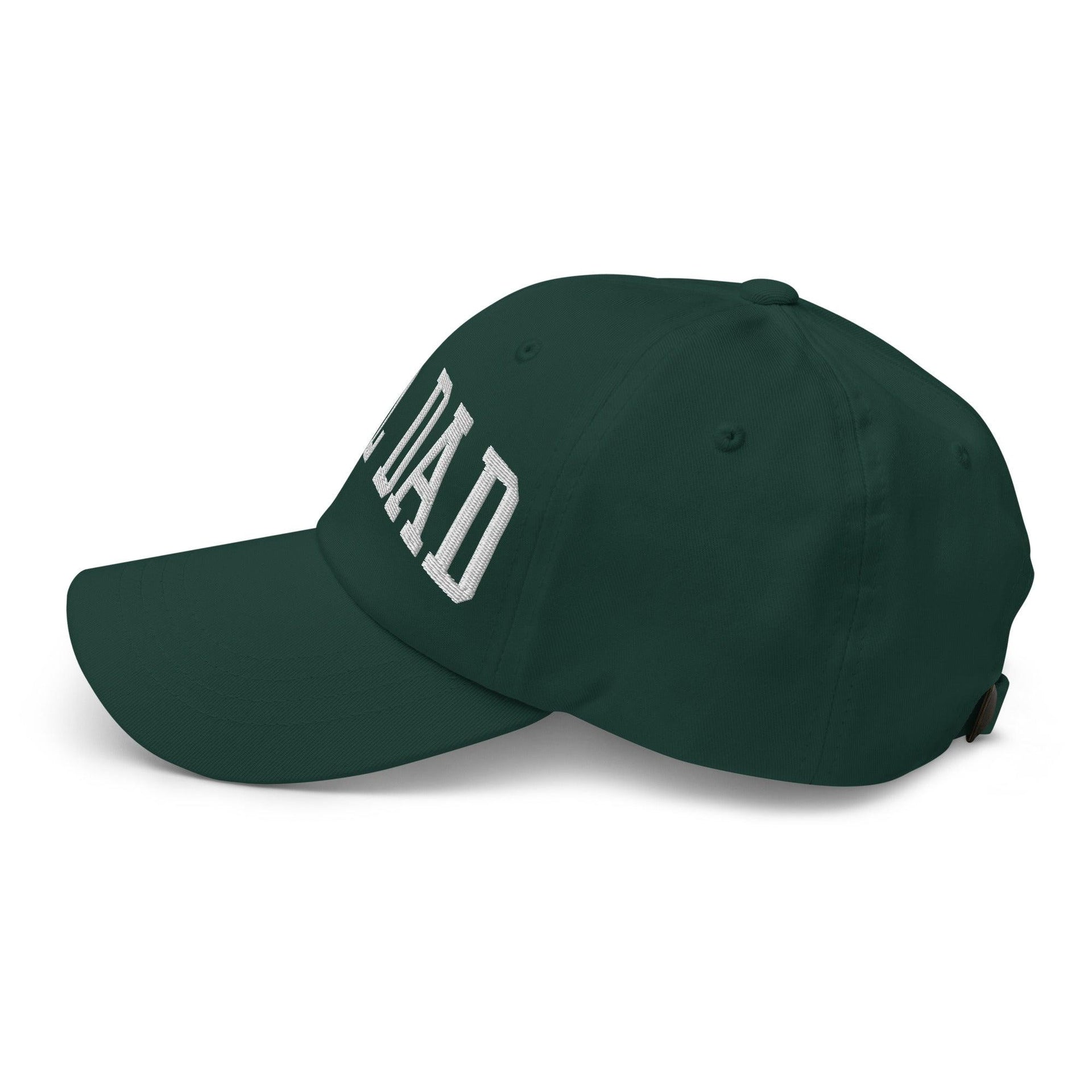 Girl Dad Varsity Letterman Embroidered Dad Hat Capital Crowns Dad Hats Funny