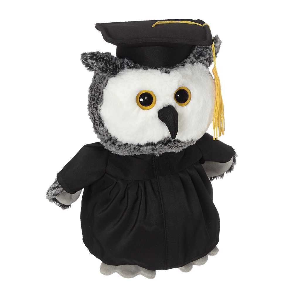 Owl Grad EmbroiderBuddy