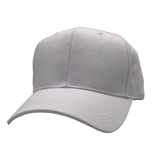 GN - 1050 - Pro Style Cap White / One Size HATS